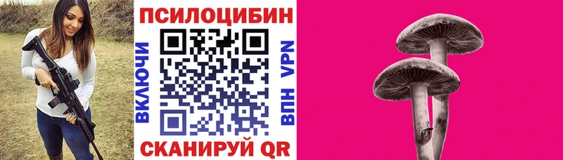Галлюциногенные грибы Psilocybine cubensis  купить   Верея 